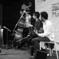 Fabian Barraza Django´s Quartet