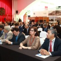 Asamblea General Medcruise