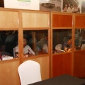 Asamblea General Medcruise