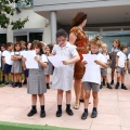 Castellón,  Laude British School of Vila-real