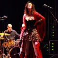 Castellón, Benicàssim cultura