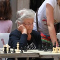 Castellón, Ajedrez 2014