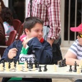 Castellón, Ajedrez 2014