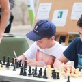 Castellón, Ajedrez 2014
