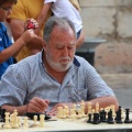Castellón, Ajedrez 2014