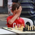 Castellón, Ajedrez 2014