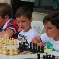 Castellón, Ajedrez 2014