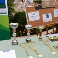 Castellón, Ajedrez 2014