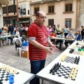 Castellón, Ajedrez 2014