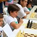 Castellón, Ajedrez 2014