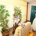 Bodas de Oro