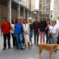 Día Mundial de la Esclerosis Múltiple