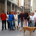 Día Mundial de la Esclerosis Múltiple