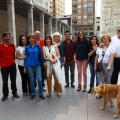 Día Mundial de la Esclerosis Múltiple
