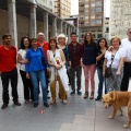 Día Mundial de la Esclerosis Múltiple