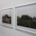 Castellón, Cultura 2014