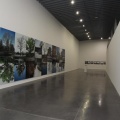 Castellón, Cultura 2014