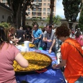 The Mamas and the Papas Music Festival