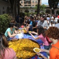 The Mamas and the Papas Music Festival