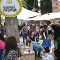 The Mamas and the Papas Music Festival