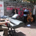 The Mamas and the Papas Music Festival