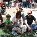 The Mamas and the Papas Music Festival