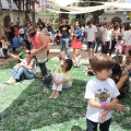 The Mamas and the Papas Music Festival