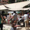 The Mamas and the Papas Music Festival