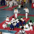 I Trofeo de Judo Infantil Tombatossals