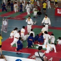 I Trofeo de Judo Infantil Tombatossals