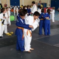 I Trofeo de Judo Infantil Tombatossals