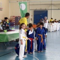 I Trofeo de Judo Infantil Tombatossals