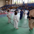 I Trofeo de Judo Infantil Tombatossals