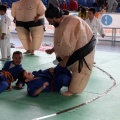 I Trofeo de Judo Infantil Tombatossals