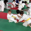I Trofeo de Judo Infantil Tombatossals