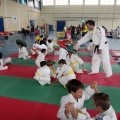 I Trofeo de Judo Infantil Tombatossals