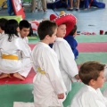 I Trofeo de Judo Infantil Tombatossals