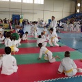 I Trofeo de Judo Infantil Tombatossals