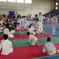 I Trofeo de Judo Infantil Tombatossals