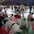 I Trofeo de Judo Infantil Tombatossals