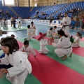 I Trofeo de Judo Infantil Tombatossals