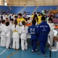I Trofeo de Judo Infantil Tombatossals