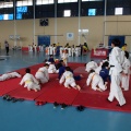 I Trofeo de Judo Infantil Tombatossals