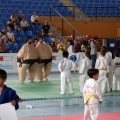 I Trofeo de Judo Infantil Tombatossals