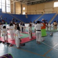 I Trofeo de Judo Infantil Tombatossals