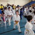 I Trofeo de Judo Infantil Tombatossals