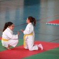 I Trofeo de Judo Infantil Tombatossals