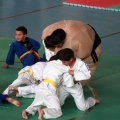 I Trofeo de Judo Infantil Tombatossals