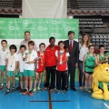 Castellón, deportes 2014