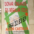 Castellón, 2014